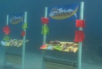 sea-discount